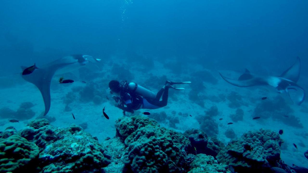 Rasreef Rasdhoo Maldives Otel Dış mekan fotoğraf