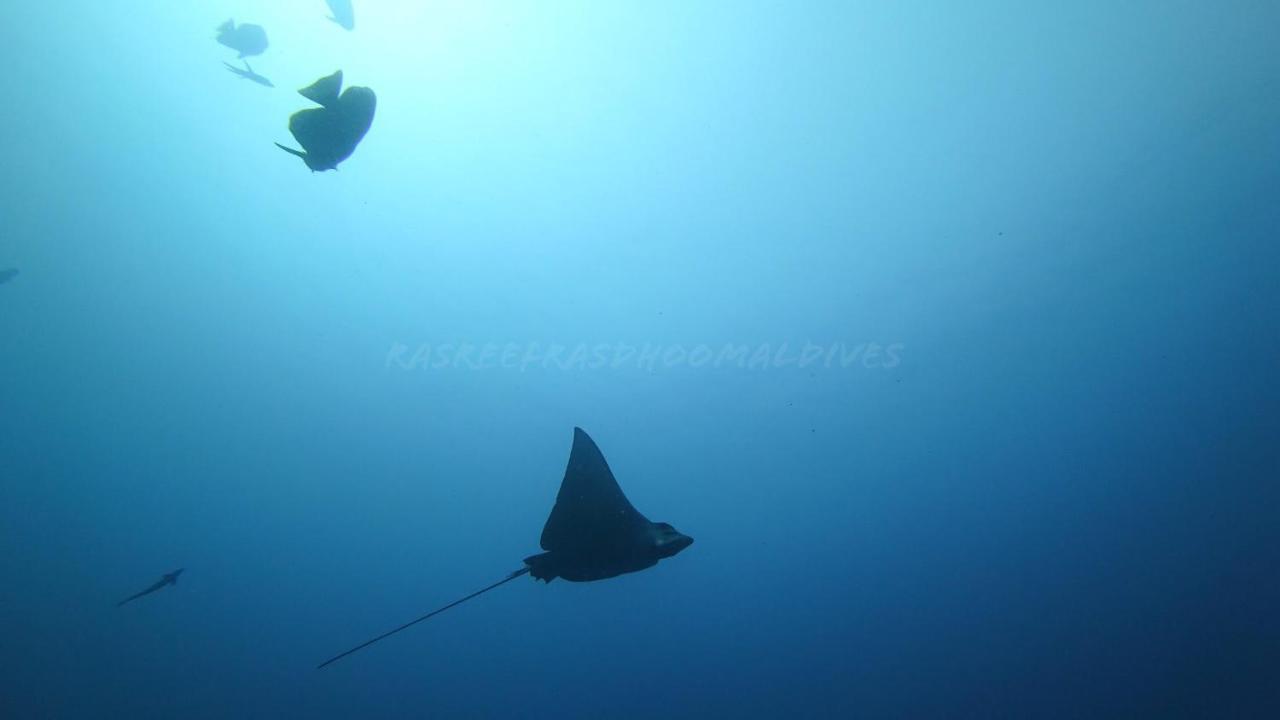 Rasreef Rasdhoo Maldives Otel Dış mekan fotoğraf
