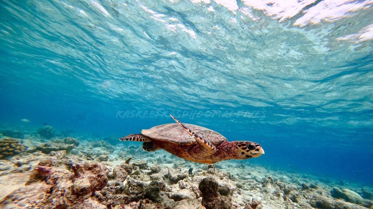 Rasreef Rasdhoo Maldives Otel Dış mekan fotoğraf