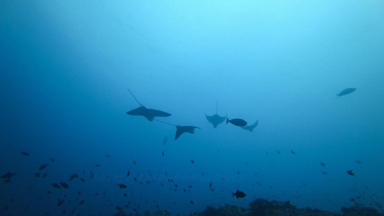 Rasreef Rasdhoo Maldives Otel Dış mekan fotoğraf
