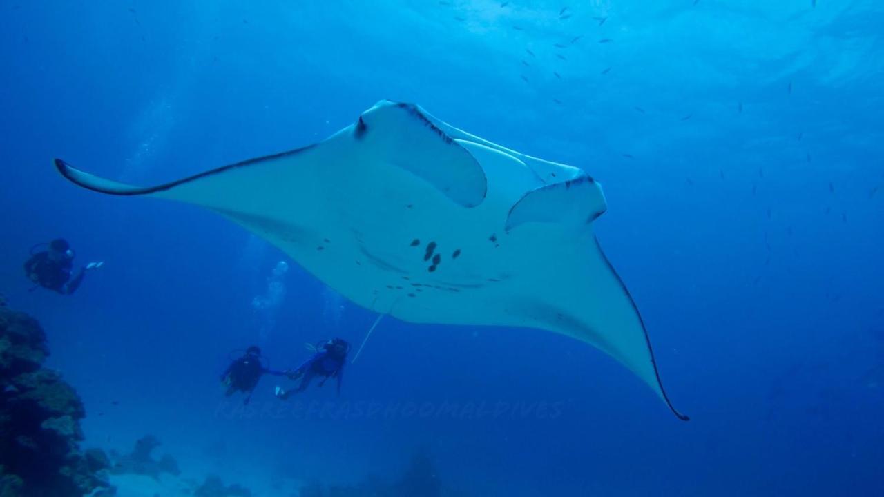 Rasreef Rasdhoo Maldives Otel Dış mekan fotoğraf