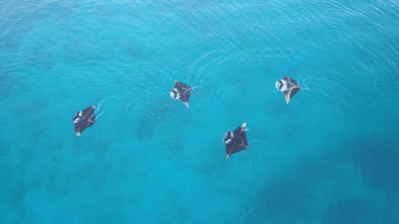 Rasreef Rasdhoo Maldives Otel Dış mekan fotoğraf
